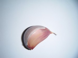 Stroužek česneku vhodný pro sázení